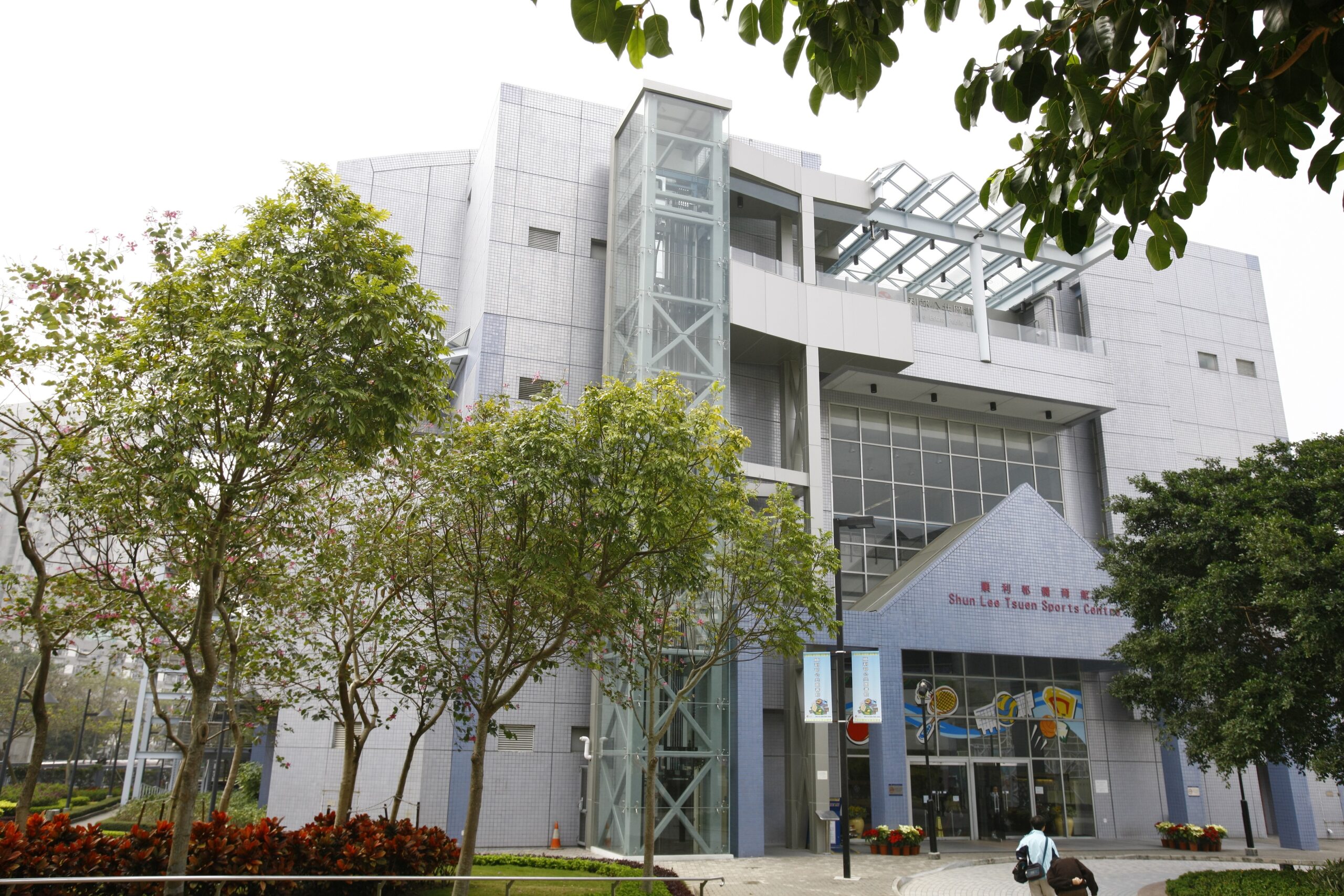 window film