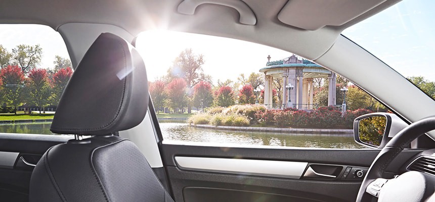 window film