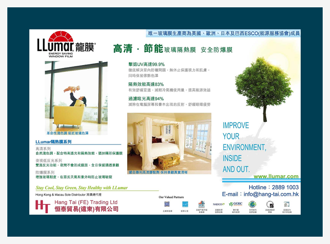 window film
