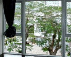 window film