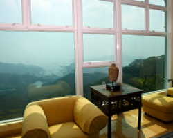 window film