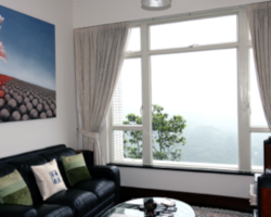 window film