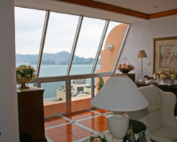window film