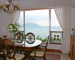 window film